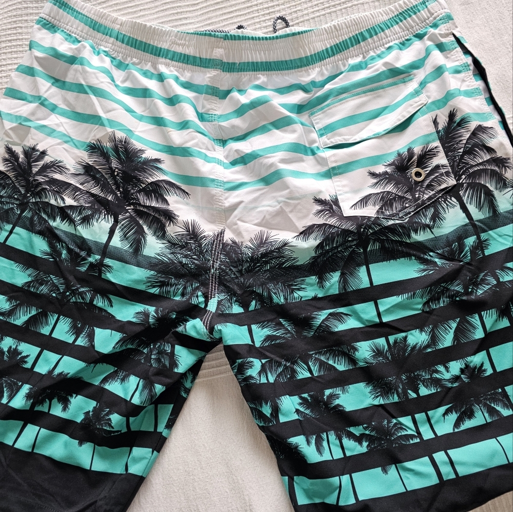 Men's Swim Trunks Quick Dry Swim Shorts 9" Inseam Bathing Suit with Mesh Lining - Picture 13 of 14